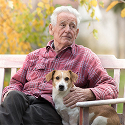 man petting a dog on a bench outside