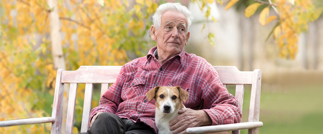 a man and dog